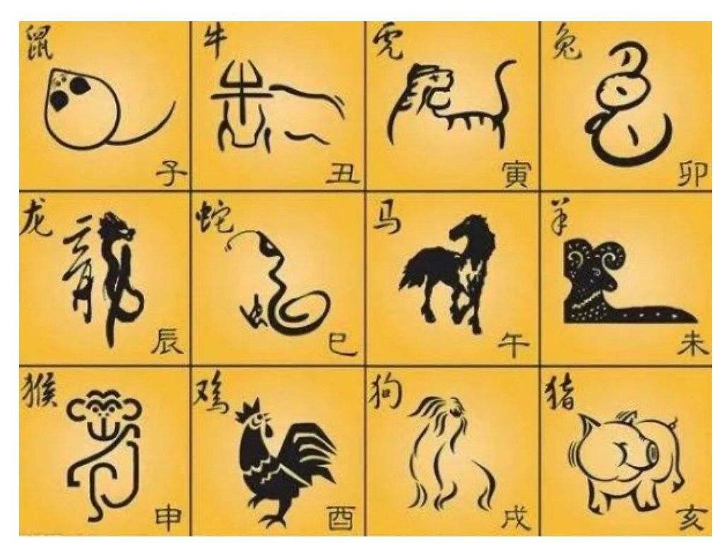 投入产出利滚利,三四左右能奈何是什么生肖精选解析、解释与落实、定量解答解释落实